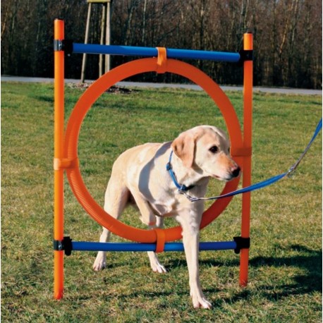 Dog Activity Agility Ring