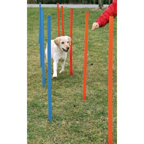 Dog Activity Slalom Agility