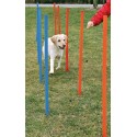 Dog Activity Slalom Agility