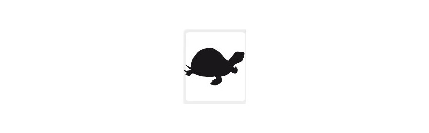 reptin-terrarium-tortue-sante-animale-voies urinaires