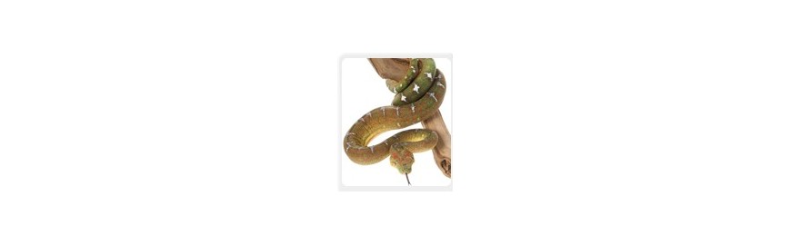 reptin-terrarium-serpent